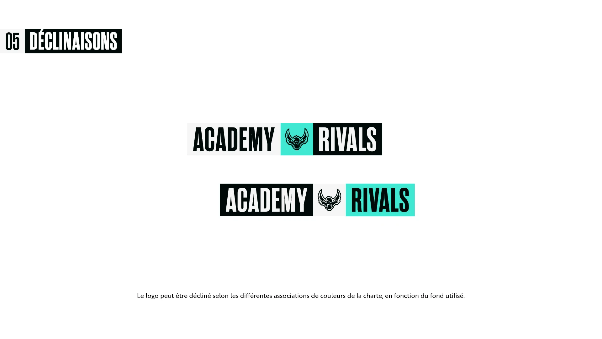 Academy Rivals CG, Déclinaisons colorées du logo Academy Rivals