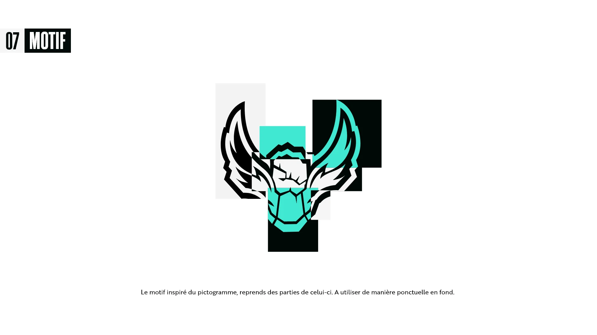 Academy Rivals CG, Motif graphique composé de fragments du pictogramme Academy Rivals