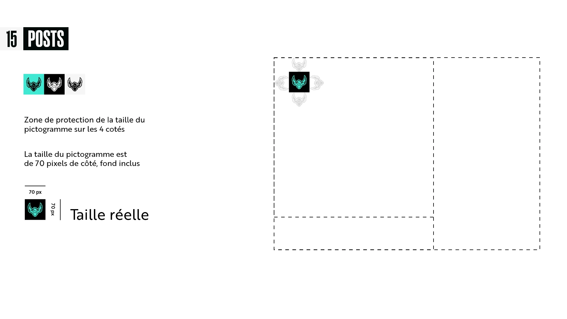 Academy Rivals CG, Placement du pictogramme dans les publications sur les réseaux sociaux