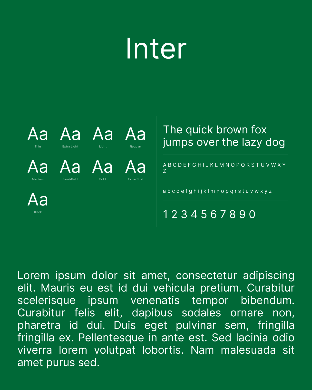 Facetheory, spécimen typographique Inter sur fond vert