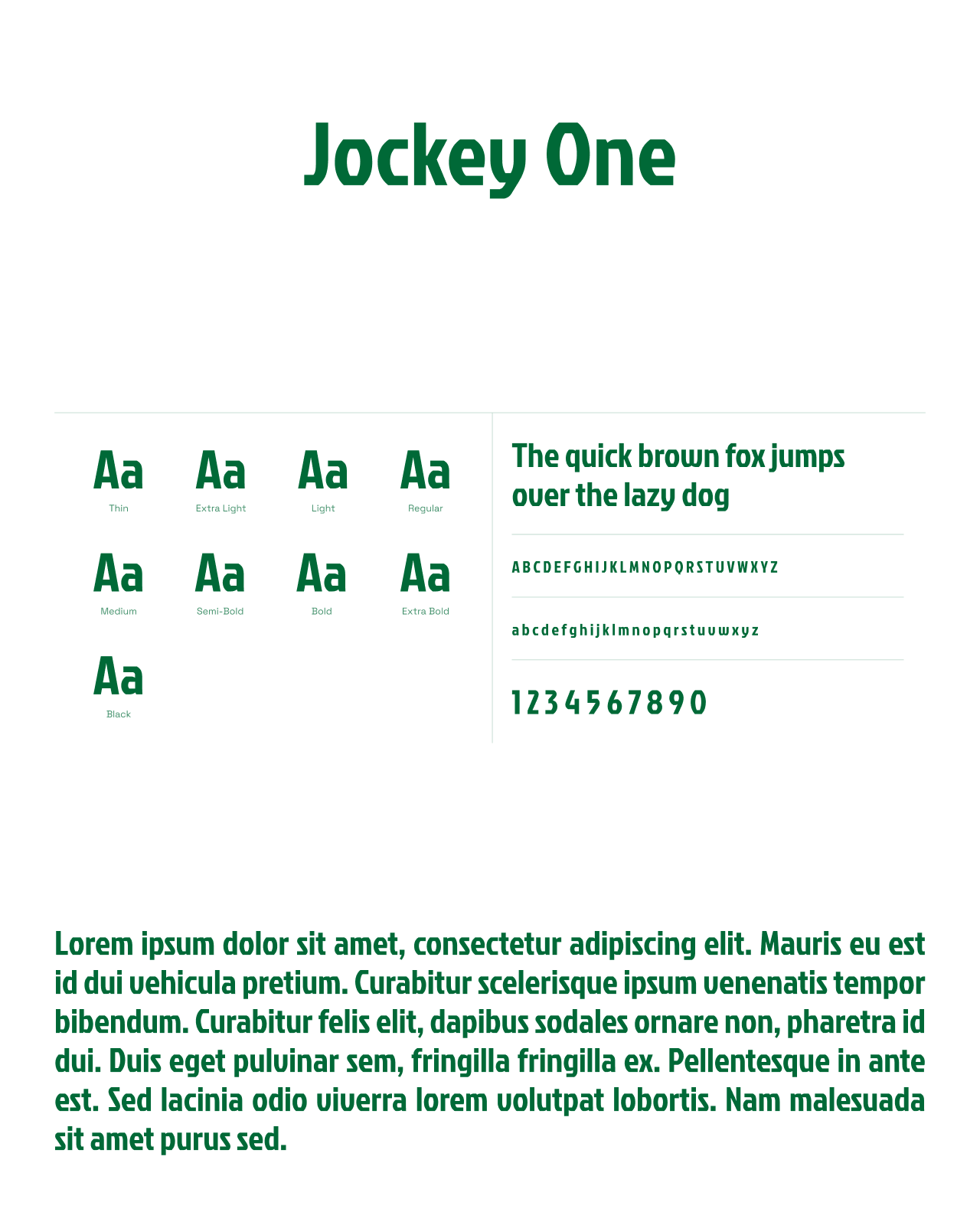 Facetheory, spécimen typographique Jockey One