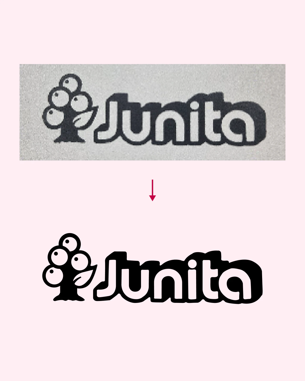 Junita : ancien logo à la vigne et sa vectorisation, point de départ des recherches