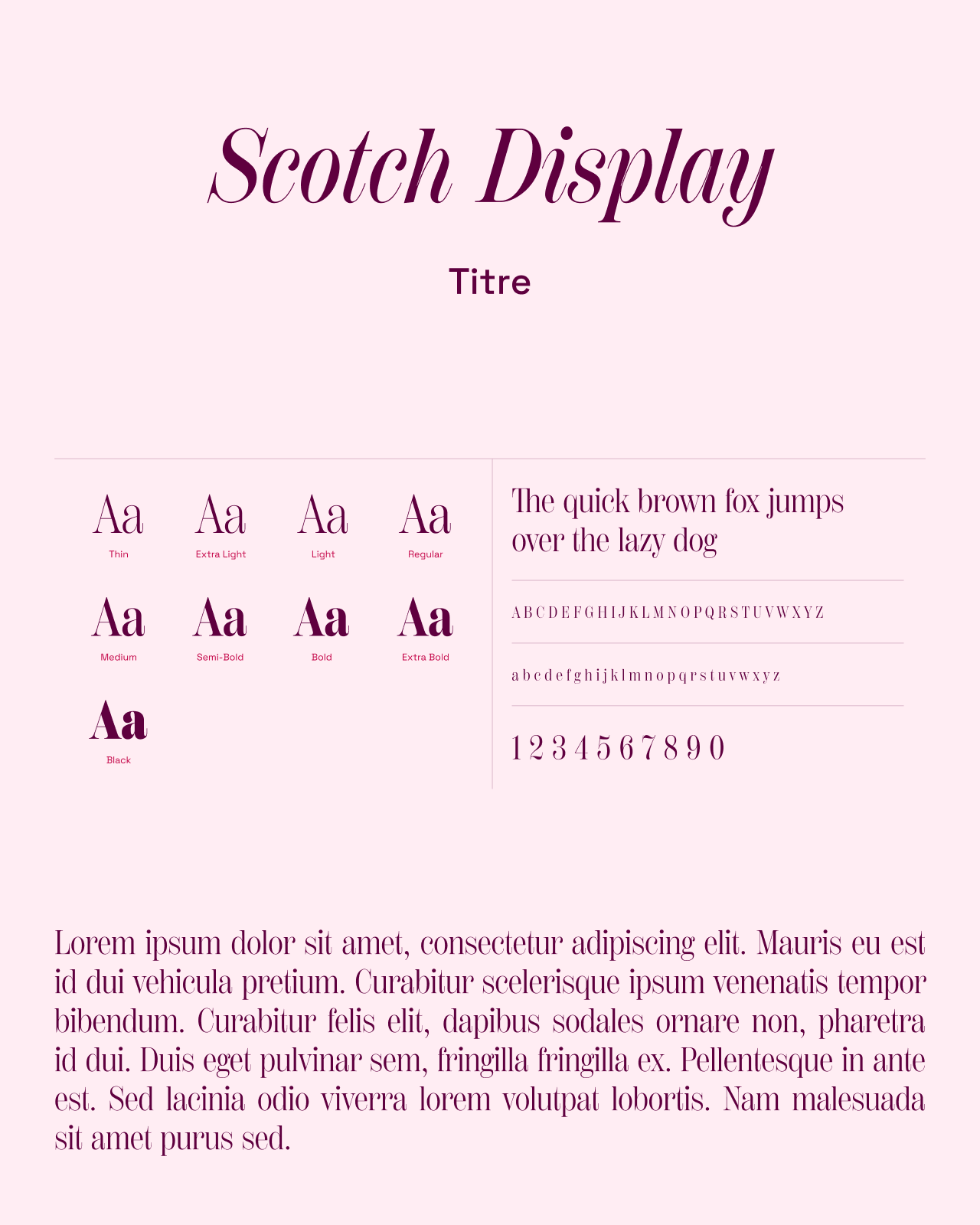 Junita : spécimen de Scotch Display, typographie des titres